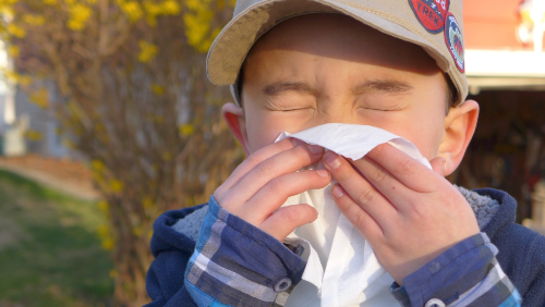 Sneezing Season - Spring Allergies image